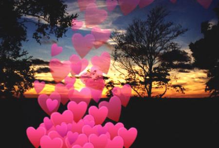 je t'aime bb