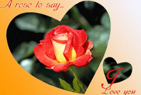 i love you