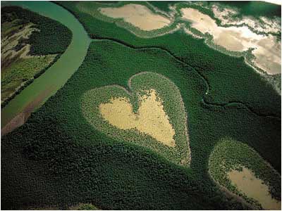 l'amour